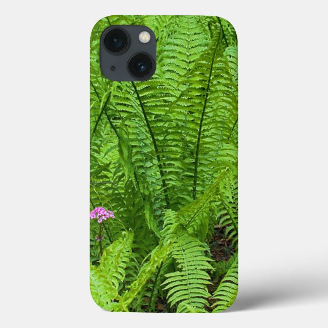 USA, Washington, Seattle, Washington Park (Verso)