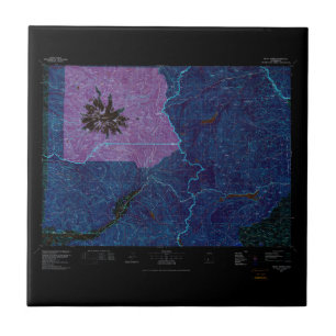 USGS Topo Map Washington State WA Monte Rainier 24