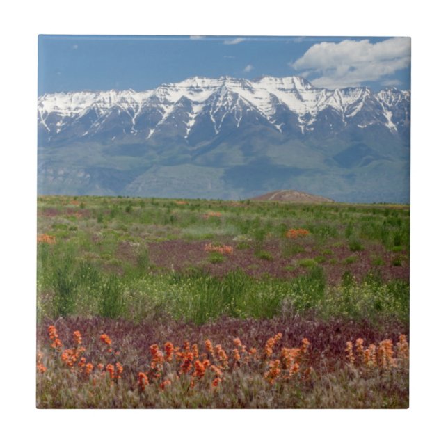 Utah, EUA. Monte Timpanogos se Eleva Acima (Frente)