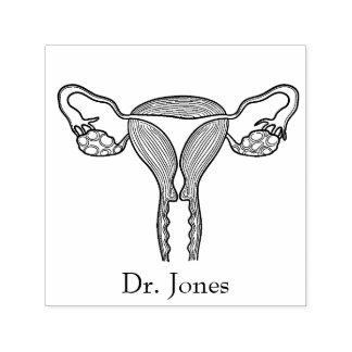 Útero, Carimbo De Borracha Autopicante Para Órgãos