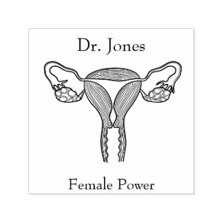 Útero, Carimbo De Borracha Autopicante Para Órgãos