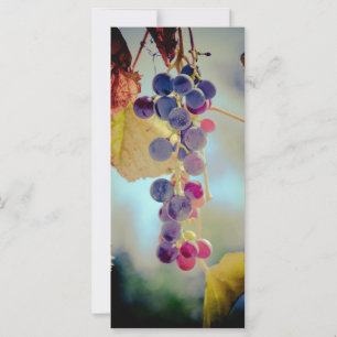 Uvas