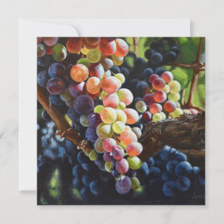 Uvas de abundância para amantes e vinhas de vinho