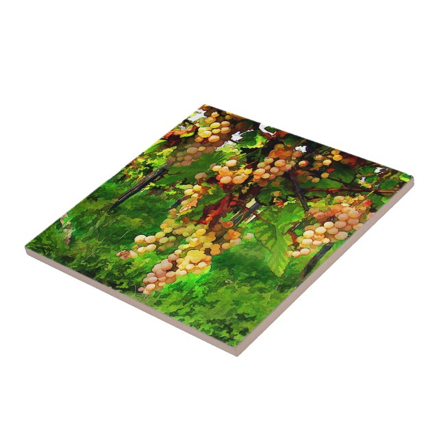 Uvas de suspensão nas videiras (Lateral)