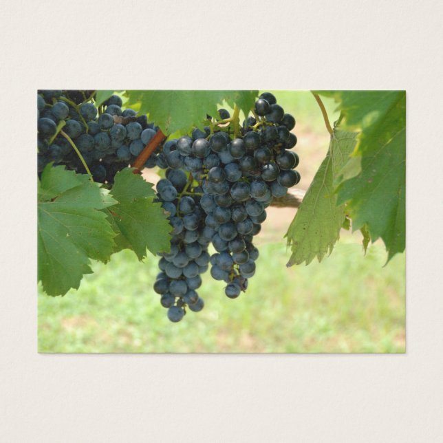 Uvas de vinhedo (Frente)