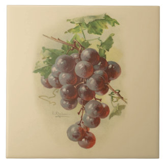 Uvas do vintage
