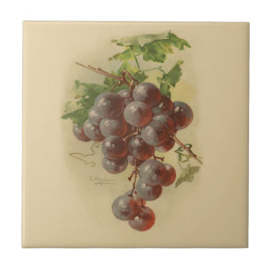 Uvas do vintage