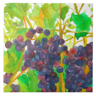 Uvas para vinho roxas da aguarela