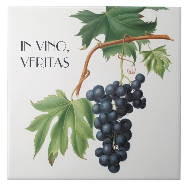 Uvas Vermelhas (Frente)