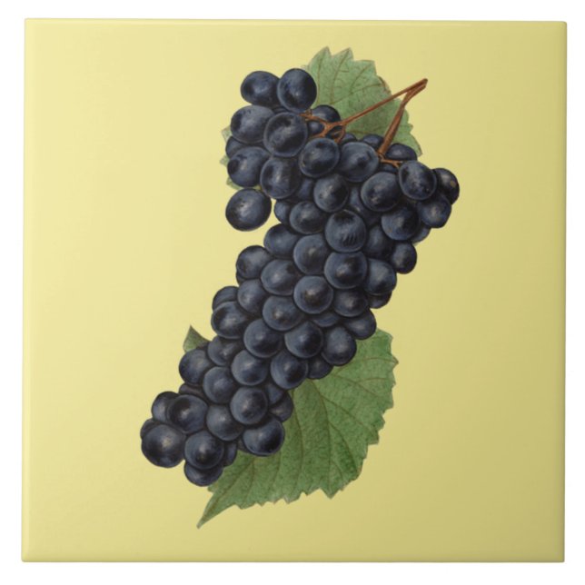 Uvas Vermelhas Botânica ~Cozinha~Qualquer Fundo De (Frente)