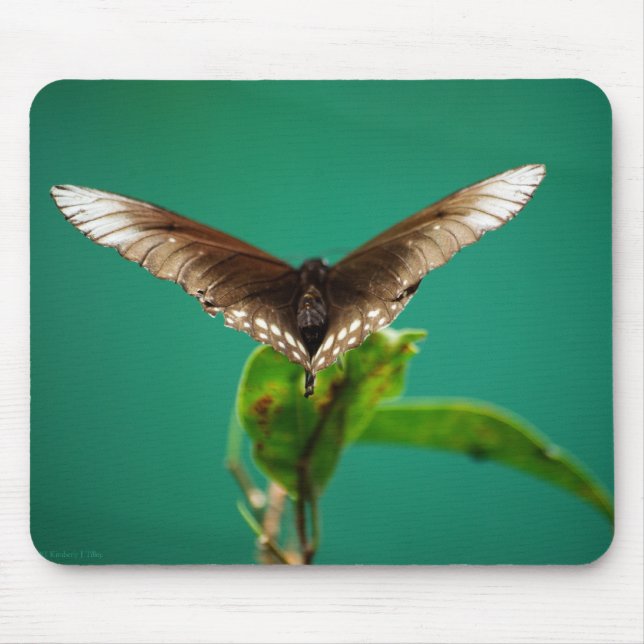 V Mousepad (Frente)