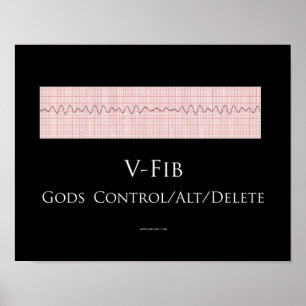 V poster do Fib