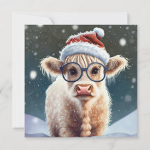 Vaca Bela Em Terra Alta Na Neve