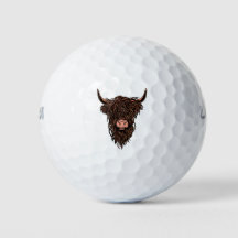 Vaca das Terras Altas Escocesas