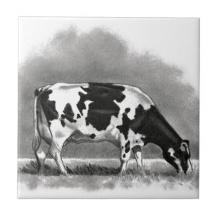 Vaca de Holstein que pasta: Desenho de lápis do