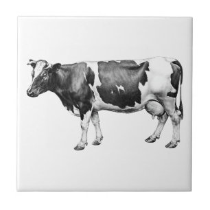 Vaca de leiteria Prizewinning