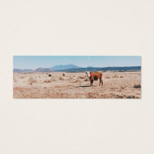 Vaca do Deserto