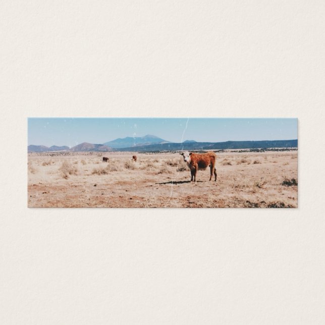Vaca do Deserto (Frente)