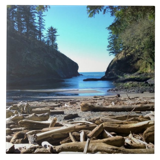 Vaca do Homem morto, Desapontamento do Cabo, WA (Frente)