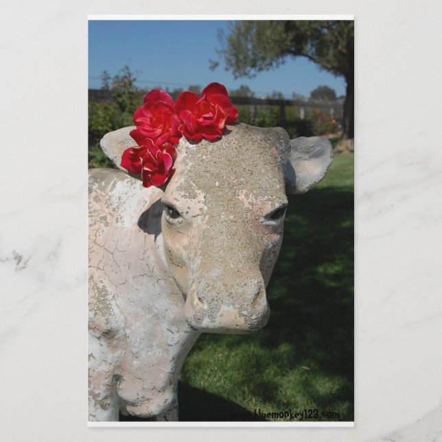 Vaca do Sul (Frente)