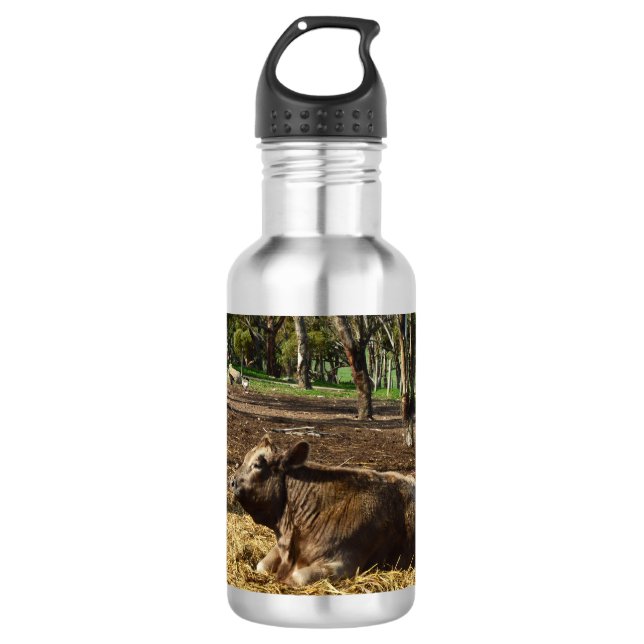 Vaca É Uma Vida Fazenda, Garrafa De Água (Frente)