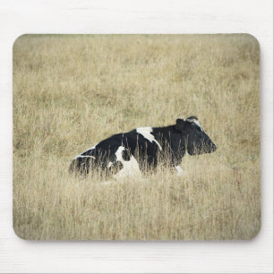 Vaca em repouso - Mousepad