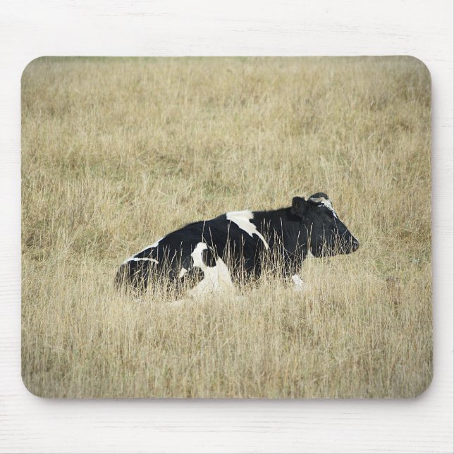 Vaca em repouso - Mousepad (Frente)