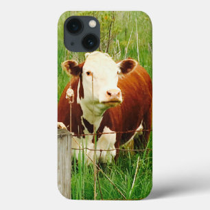 Vaca Fofo Fofinha 4Claire