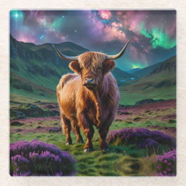 Vaca Highland Sob As Estrelas