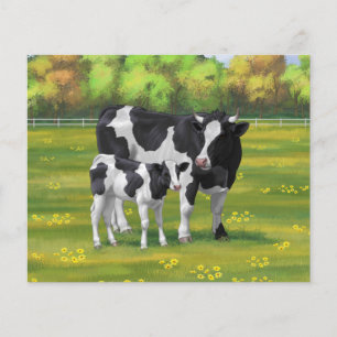 Vaca Holstein e Vitelo-da-Feira na Pastagem de Ver