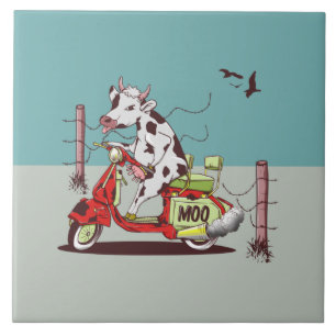 Vaca montando um motociclo