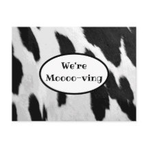 Vaca Preta e Branca Oculta Anúncio em Movimento