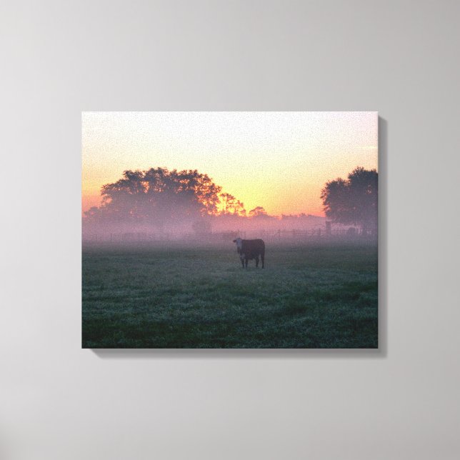 Vaca rural na Canvas de 3 painéis de sunrise (Frente)