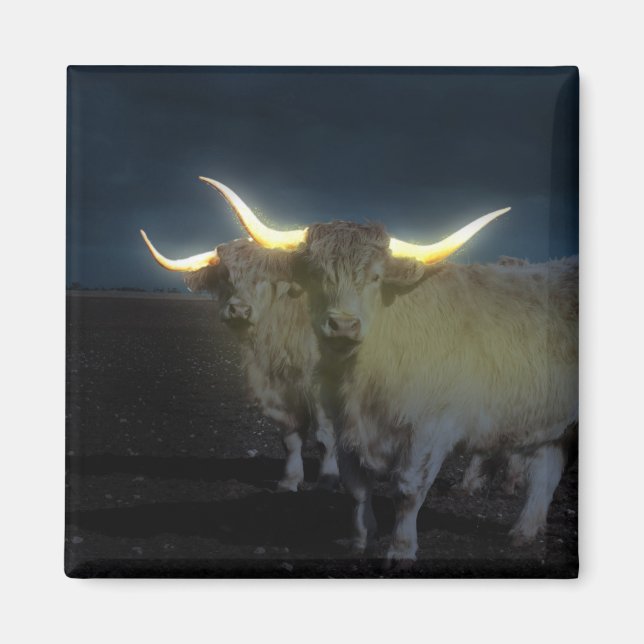 Vacas Do Planalto Brilhando Na Escuridão, Imã de g (Frente)