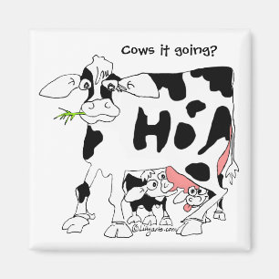 Vacas ele que vai? Imã de geladeira quadrada