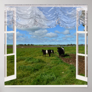 Vacas Galloway Através de uma Janela, Poster