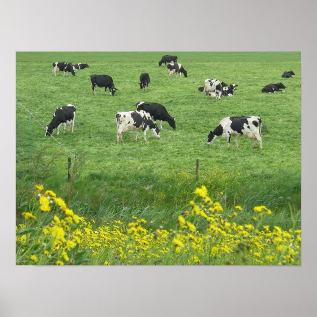 Vacas, Prados e Flores - Impressão de Poster (Frente)