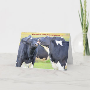 Vacas Que Eu Te Amo Cartão De Saudação