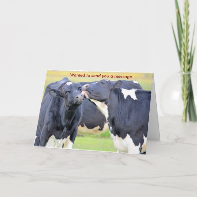 Vacas Que Eu Te Amo Cartão De Saudação (Frente)