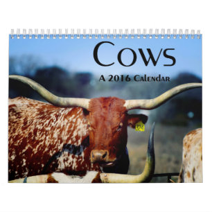 Vacas, um calendário 2016
