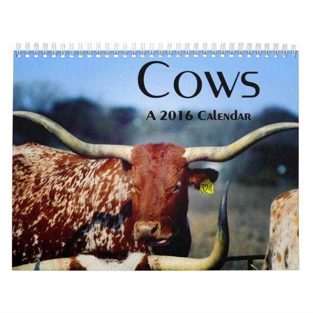 Vacas, um calendário 2016 (Capa)