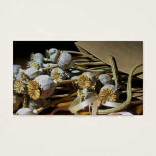 Vagens secados da papoila da flor