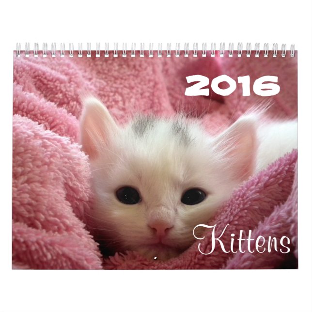 Vai o ~ bonito vai calendário dos gatinhos 2016 (Capa)