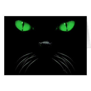 Vaia - cartão vazio esmeralda