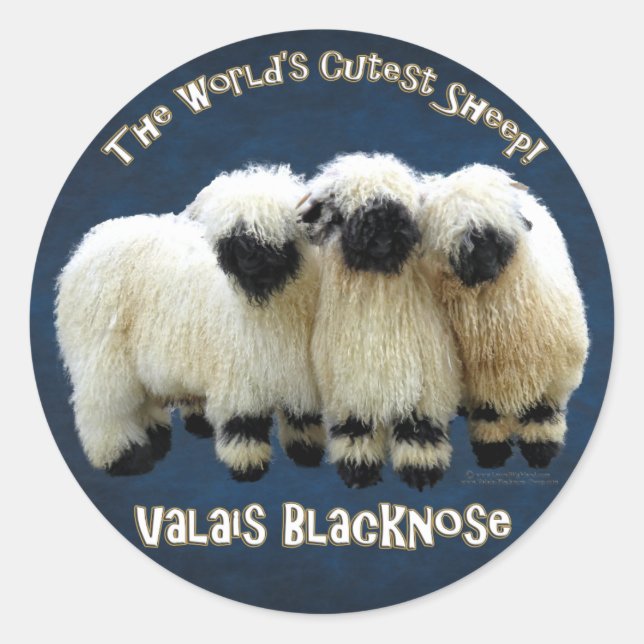 Valais Blacknose - O melhor adesivo de ovelha do m (Frente)
