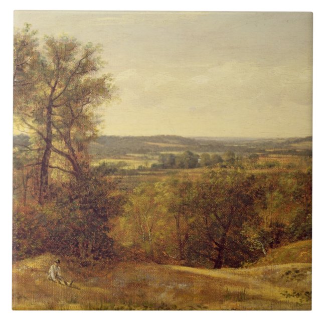 Vale de John Constable | Dedham, c.1802 (óleo no (Frente)