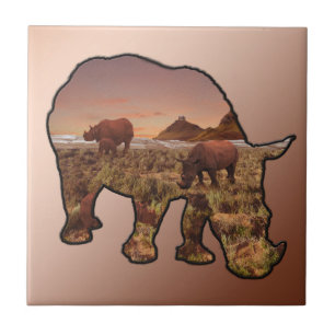 Vale Do Rinoceronte, Azulejo Cerâmico