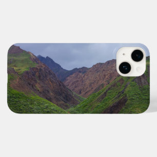 Vale no rio Toklat, em Denali