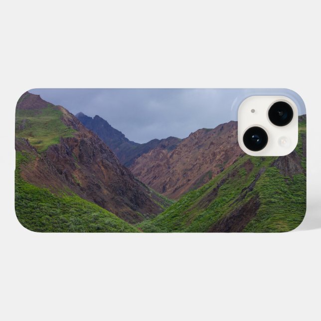Vale no rio Toklat, em Denali (Verso (horizontal))