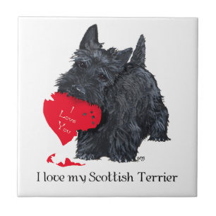 Valentine de Terrier Escocês